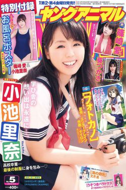 2009年电视剧