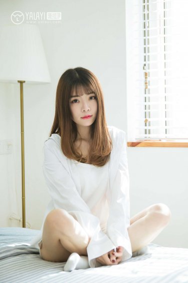 泰迪熊1
