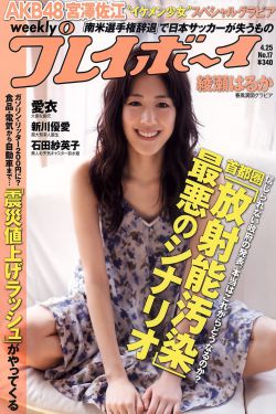 岌岌可危小说